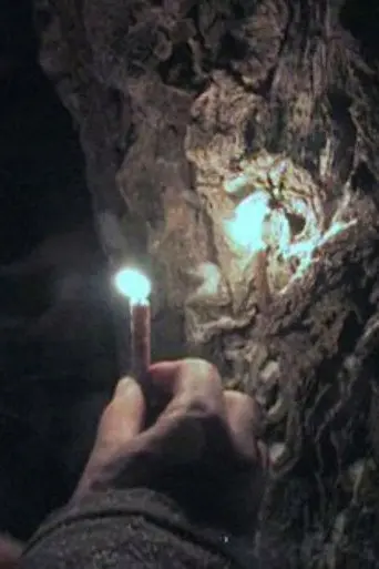 Through the Needles of Coniferous Trees (2012)