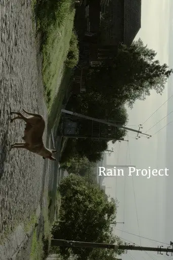 Rain Project (2017)