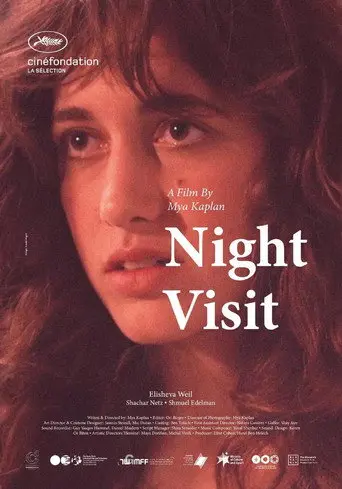 Night Visit (2021)