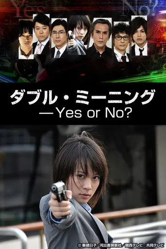 Double Meaning: Yes or No? (2013)