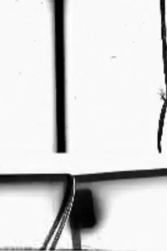 Structural Filmwaste. Dissolution 1 (2003)