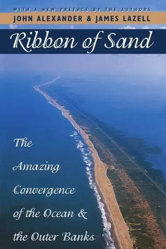 Ribbon of Sand (2008)