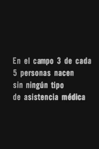 Los 505 (1973)