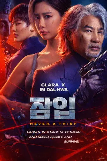 Never a Thief (2025)