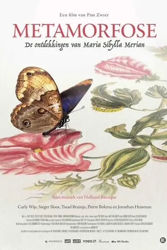 Metamorphosis (2025)