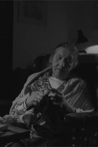 The Domestic Fly (2017)