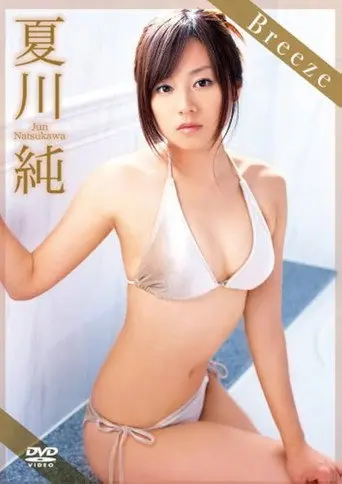 夏川純 Breeze (2008)
