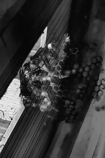 The Nest (2022)