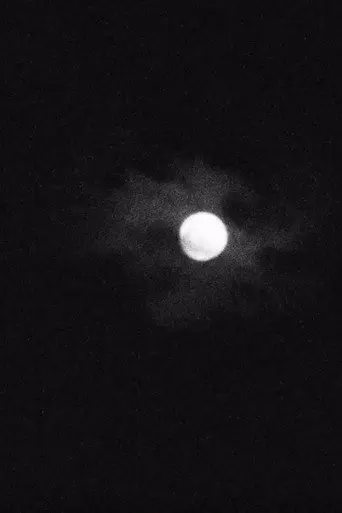 Black Vulture (2021)
