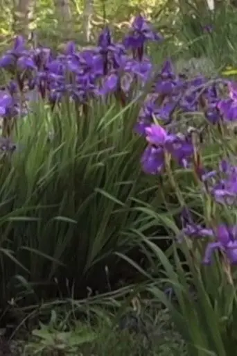 Queen Takes Pawn (2013)