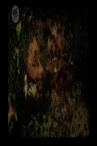 The Lovers (2004)