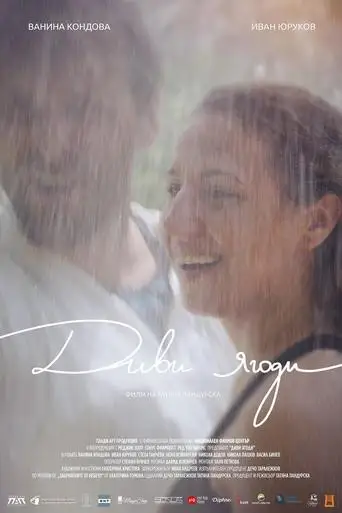 Wild Strawberries (2026)