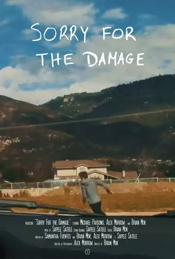 Sorry For The Damage (2016)