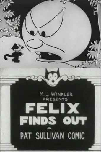 Felix Finds Out (1924)