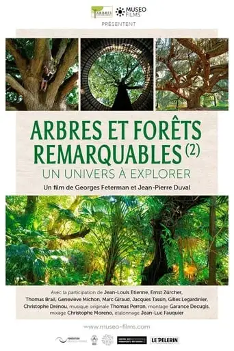 Arbres Et Forets Remarquables, Un Univers A Explorer (2021)