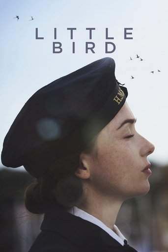 Little Bird (2017)