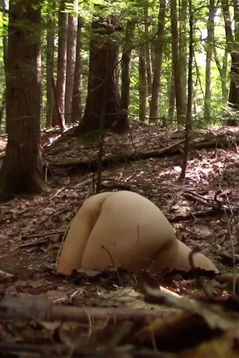 Borderhole (2017)
