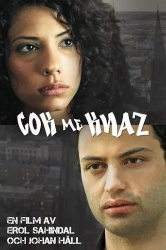 Cok me knaz (2017)