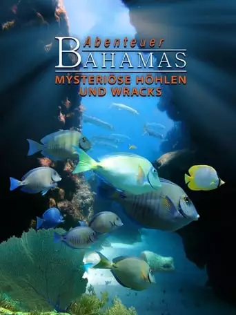 Adventure Bahamas 3D - Mysterious Caves And Wrecks (2012)