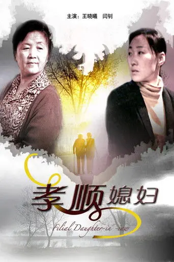 孝顺媳妇 (2009)