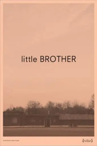 Little Brother (2011)