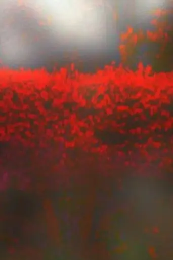 Burning Bush (2010)