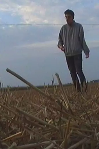 The Roots Of The Horizon (2020)