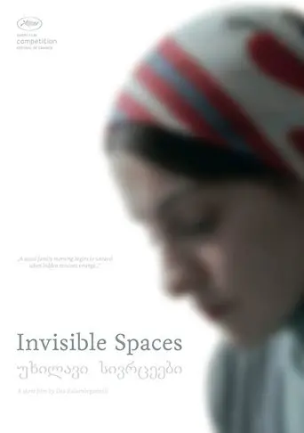 Invisible Spaces (2014)