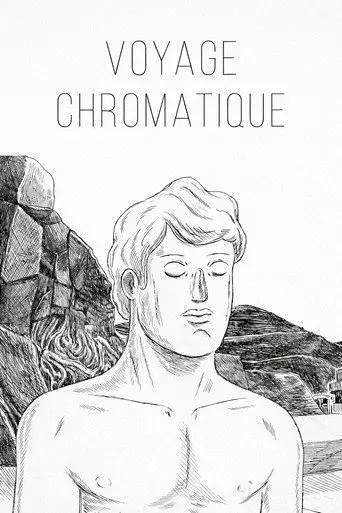 Voyage Chromatique (2011)
