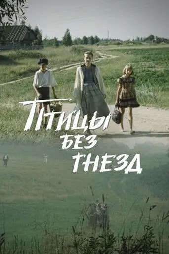 Birds Without Nests (1996)