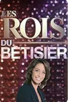Les Rois du Bêtisier (2011)