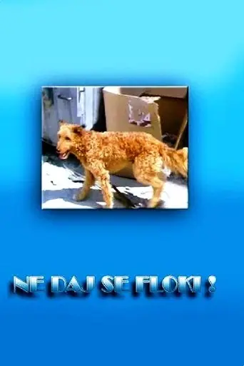 Don't Give in, Flockey! (1986)