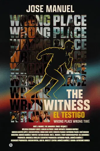 The Witness (2011)