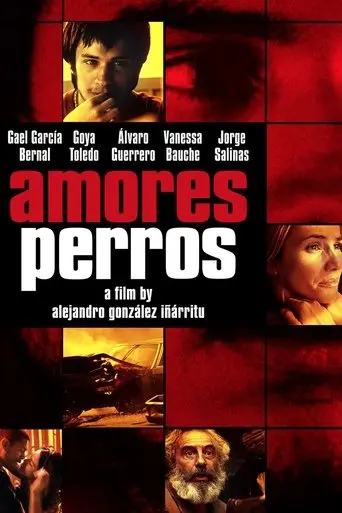 Amores Perros (2000)