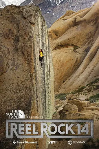 The High Road (2019)