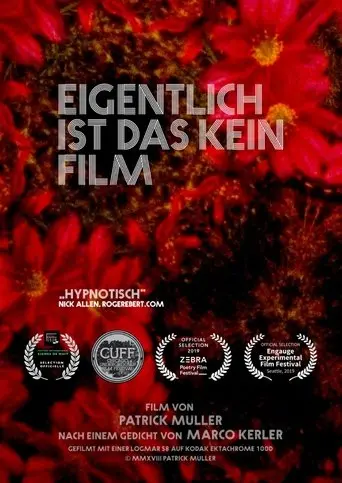 Actually, This Is Not A Film (2019)