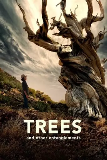 Trees, And Other Entanglements (2023)