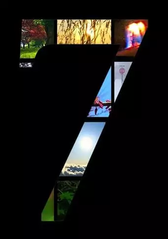 7 (2019)