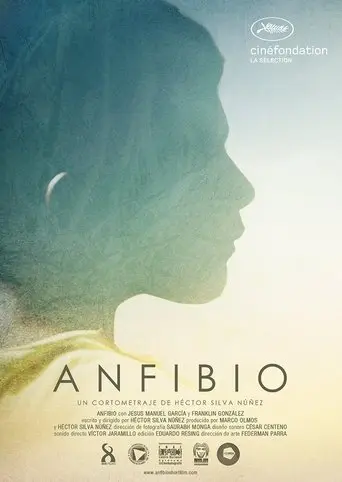 Anfibio (2015)