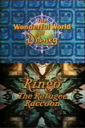 Ringo, the Refugee Raccoon (1974)