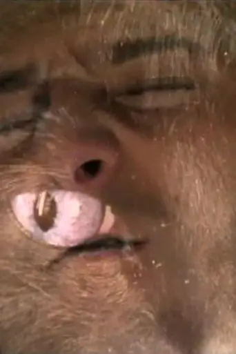 The Tiger (2009)