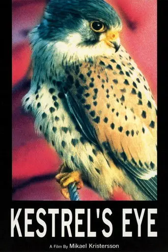 Kestrel's Eye (1998)