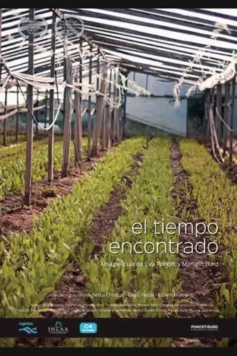 El tiempo encontrado (2015)
