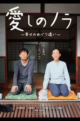 Itoshi No Nora, Shiawase No Meguriai (2017)