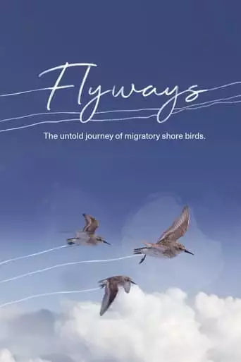 Flyways: The Untold Journey Of Migratory Shorebirds (2023)