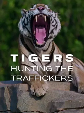 Tigers: Hunting the Traffickers (2020)