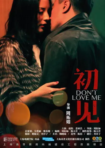 初见 (2013)