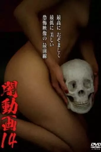 Tokyo Videos of Horror 14 (2016)