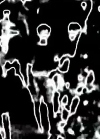 Another Occupation (2011)