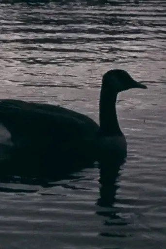 Fowl Play (2018)